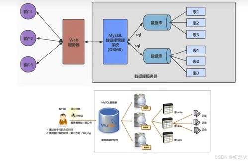 MySQL 8.0 互联网数据服务理论与实用小技巧